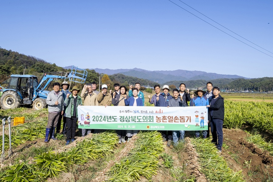 ▲ 경상북도의회(의장 박성만)는 10월 25일 가을철 수확기에 일손부족으로 어려움을 겪고 있는 영주지역 농가를 찾아 일손돕기를 펼쳤다.ⓒ경북도의회