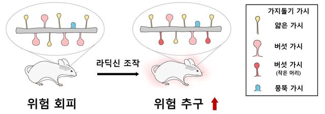 ▲ ⓒ세브란스병원