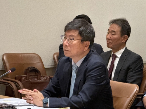 ▲ 뉴욕 국정감사장에 출석한 김의환 뉴욕총영사. ⓒ 연합뉴스