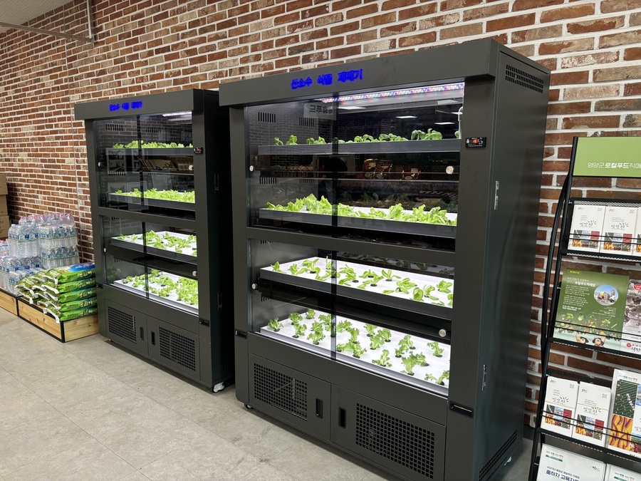 ▲ 영양군(군수 오도창)은 지역 농산물의 품질을 높이고 소비자에게 신선한 먹거리를 제공하기 위해 영양군 로컬푸드직매장에 스마트팜 기술을 접목한 ‘산소수 식물 재배기’를 도입했다.ⓒ영양군