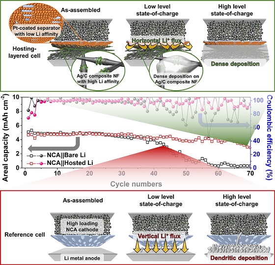 ▲ 수직적 리튬 전착으로 짧은 수명의 대조군(아래쪽)과 연구팀이 개발한 호스트를 적용해 78% 수명이 향상된 리튬금속전지(위쪽) 모식도.ⓒ단국대