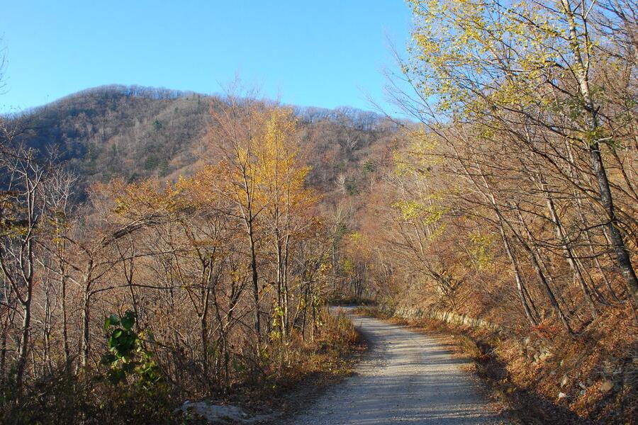 ▲ 임도 하행길.ⓒ진경수 山 애호가