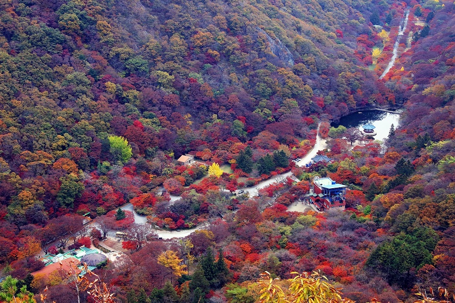 ▲ 내장산.ⓒ정읍시