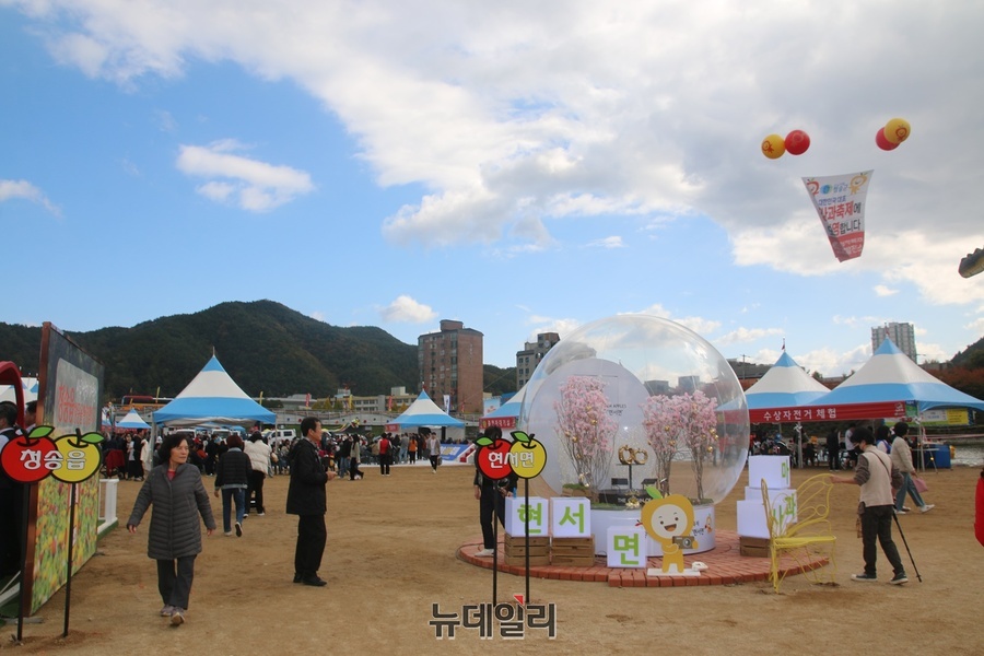 ▲ 화창한 가을날 덕분에 청송사과축제 현장에는 첫날부터 관광객들이 붐비더니 둘째 날까지도 그 발걸음이 계속 이어졌다.ⓒ뉴데일리