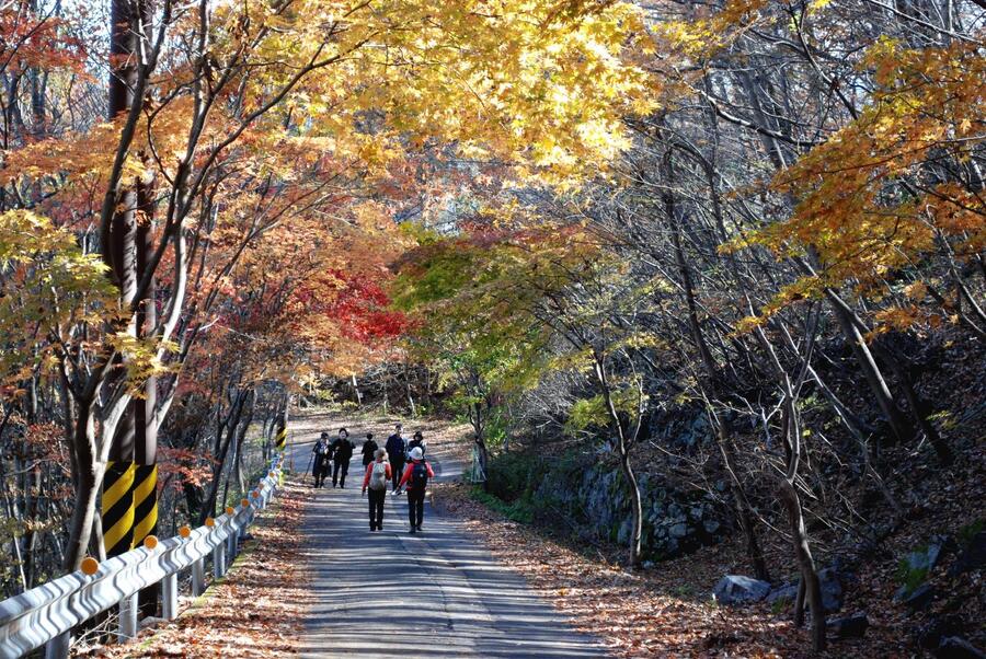 ▲ 주차장에서 안국사로 이어지는 단풍길.ⓒ진경수 山 애호가