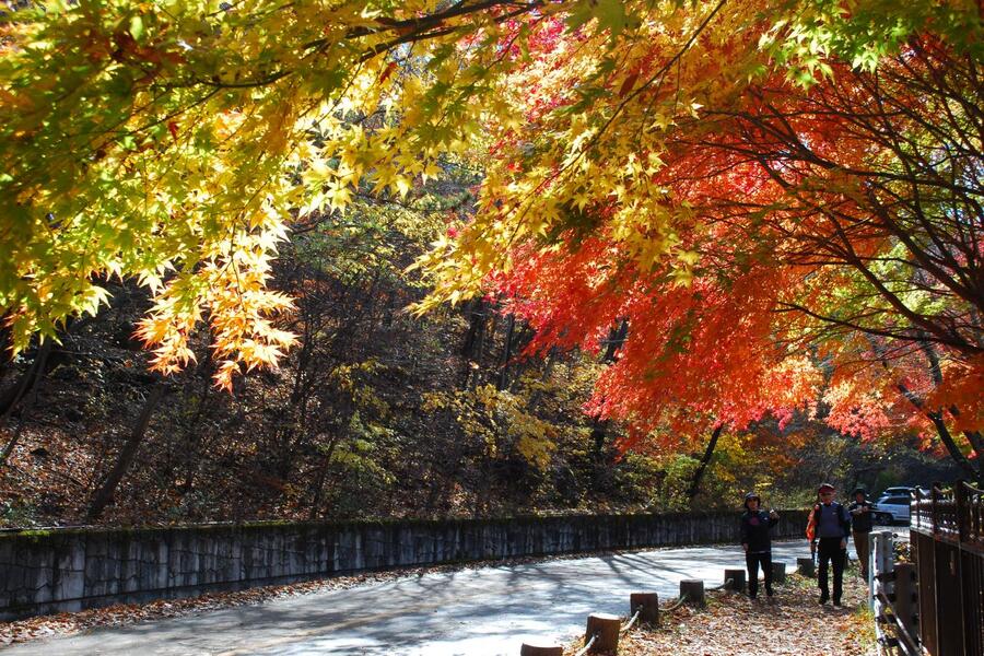 ▲ 적상호 둘레길.ⓒ진경수 山 애호가