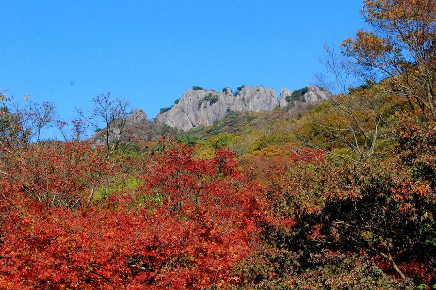 ▲ 내장산 서래봉.ⓒ진경수 山 애호가