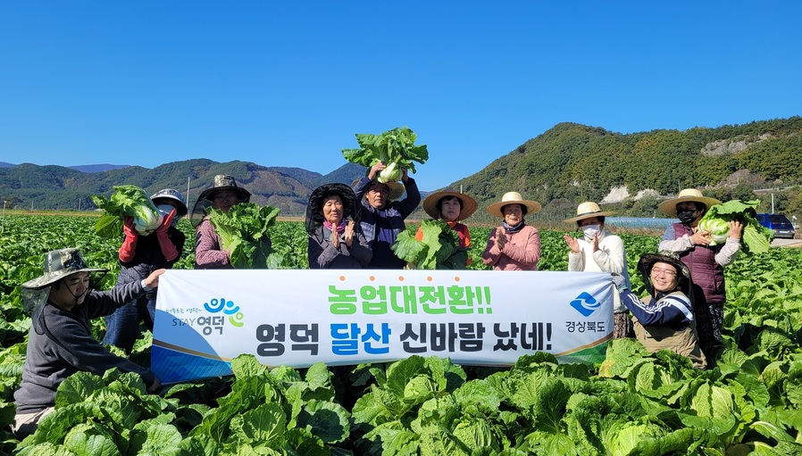 ▲ 영덕 달산지구는 오는 12월 25일 크리스마스에 이모작(콩/양파+배추) 공동영농 첫 배당 3천 원(3.3㎡당)을 지급한다.ⓒ경북도