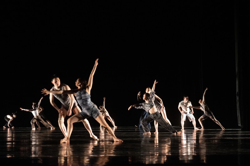 ▲ 국립현대무용단 '정글' 공연.ⓒ한국국제문화교류진흥원