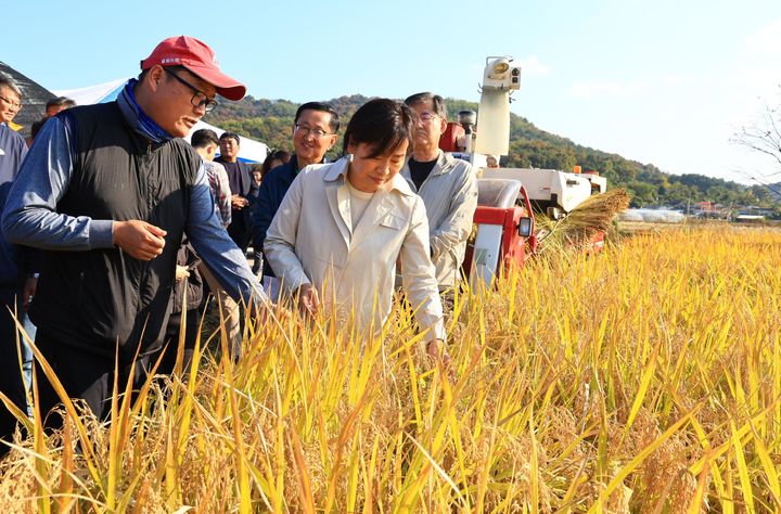 ▲ 송미령 농림축산식품부 장관이 지난 3일 충북 청주 벼 수확 현장을 살펴보고 있다. ⓒ농림축산식품부