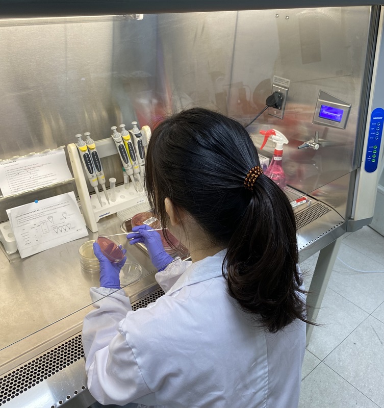 ▲ 충북보건환경연구원은카바페넴내성장내세균목 감염증 발생 신고가 꾸준히 증가하고 있다며 의료기관의 감염관리 강화 및 도민들의 올바른 항생제 복용법 준수를 당부했다.ⓒ충북도