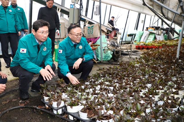 ▲ 이상일 용인특례시장이 1일 이한경 행정안전부 차관과 폭설 피해를 입은 처인구 남사읍 진목리 화훼농가 현장을 점검하고 있다. ⓒ용인시 제공