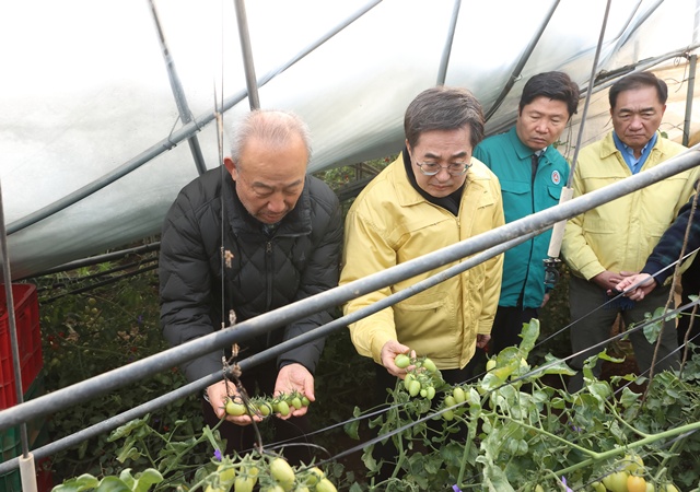 ▲ 김동연 경기도지사(왼쪽에서 두번째)가 2일 오전 평택시 진위면 하북리의 한 방울토마토 재배농장 비닐하우스를 찾아 폭설피해 현장을 확인하고 있다. ⓒ경기도 제공