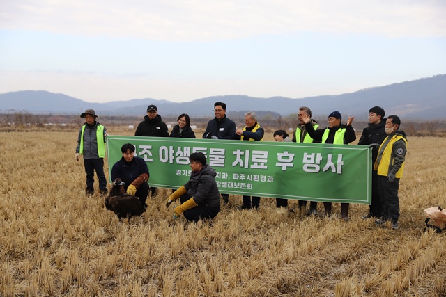 ▲ 경기도 북부야생동물구조관리센터 등 관계자들이 구조된 독수리를 자연으로 방사하고 있다. ⓒ경기도 제공