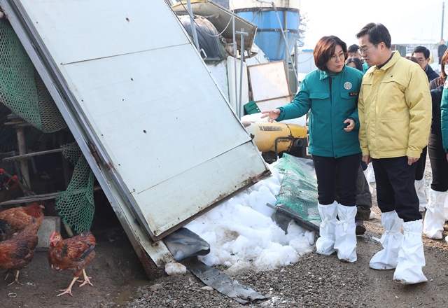 ▲ 김동연 경기도지사(오른쪽)가 지난달 2일 김보라 안성시장과 경기 안성시에 위치한 한 양계장의 대설피해 지역을 현장방문해 피해현장을 확인하고 있다. ⓒ경기도 제공