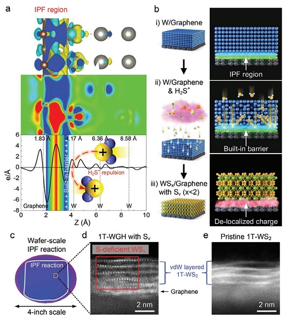 ▲ 연구 이미지.ⓒ성균관대