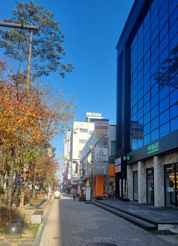 ▲ 청주시 상당구 중앙동 소나무길.ⓒ청주시