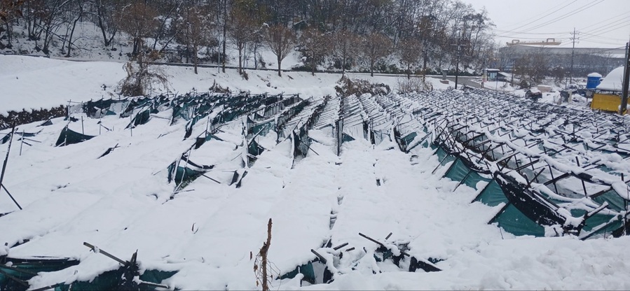 ▲ 지난 11월 26~28일 내린 대설 피해 농가 사진.ⓒ충북도