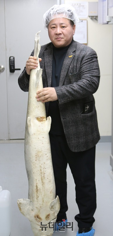 ▲ 이용광 대표는 충북 청주시 청원구 오창에서 농사를 짓던 20대 청년 농부에서 세계 최초로 ‘수용성 철갑상어 오일’을 추출하는 데 성공해 스톨존바이오㈜를 성장시켰다. 이 대표가 냉동고에서 꺼낸 철갑상어를 들어보이고 있다.ⓒ이길표 기자
