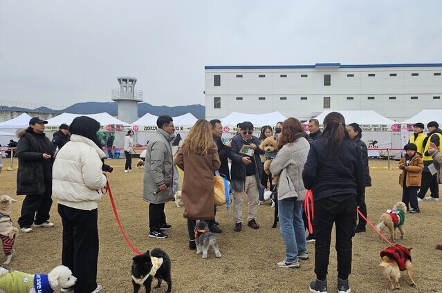 ▲ 익산 반려동물 페스티벌 '멍룡이게임 IN 이상한교도소'ⓒ익산시