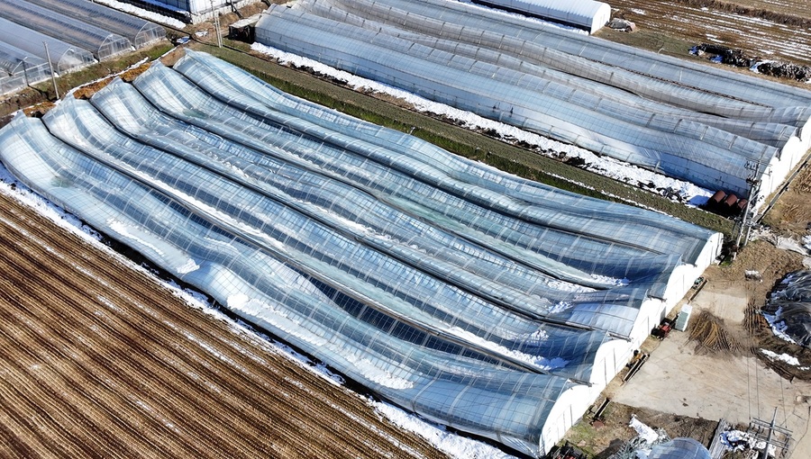▲ 지난달 27~28일에 내린 기록적인 폭설로 충북 음성 지역의 농·축산 시설과 공장·소상공인에 큰 피해가 발생했다.ⓒ음성군
