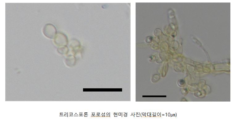 ▲ ⓒ국립낙동강생물자원관