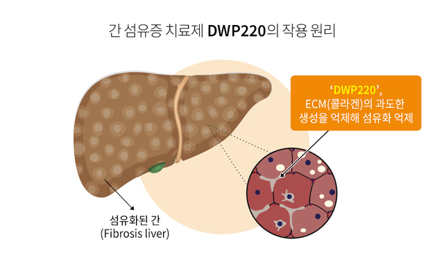 ▲ ⓒ대웅제약