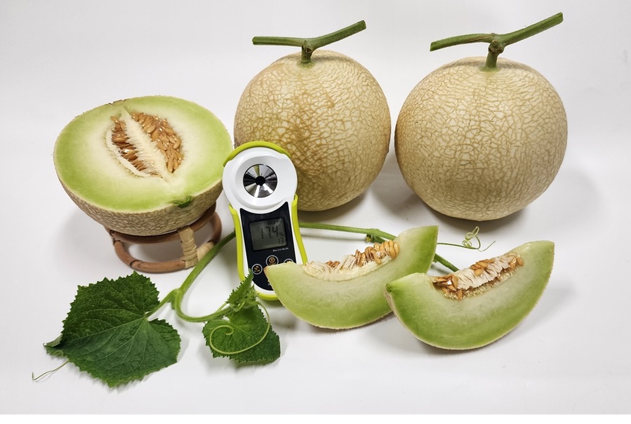 ▲ 생거진천 허니짱 멜론.ⓒ진천군