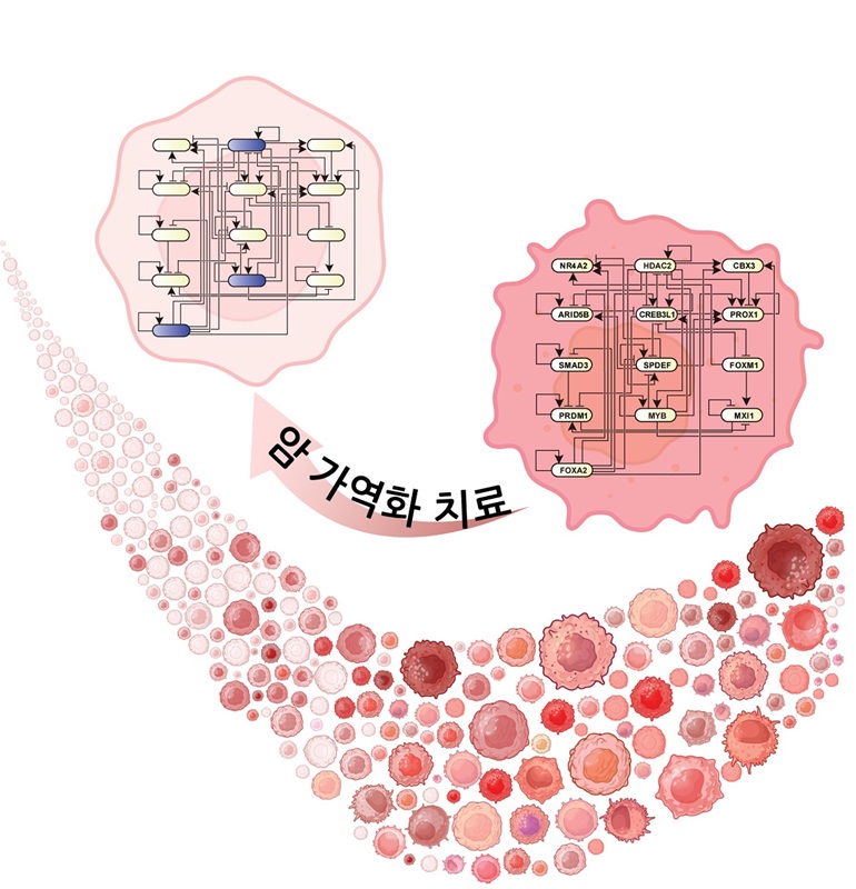 ▲ 연구결과 모식도.ⓒKAIST