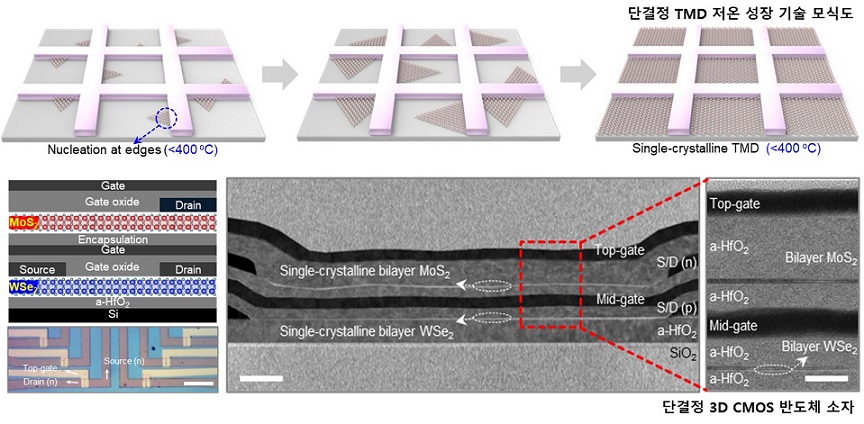 ▲ 단결정 2D TMD 저온 성장 기술 모식도 및 단결정 3D C-FET 반도체 소자.ⓒ성균관대