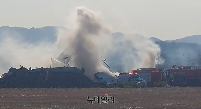 ▲ 29일 오전 9시7분께 전남 무안군 망운면 무안국제공항 활주로에서 방콕발 무안행 제주공항 여객기가 착륙 과정에서 불시착한 뒤 불이 났다. 119와 경찰 등 관계기관이 출동, 현장을 수습하고 있다. ⓒ뉴데일리DB