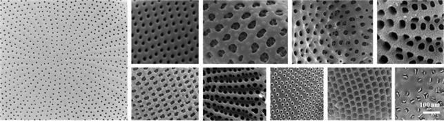 ▲ ⓒ국립낙동강생물자원관