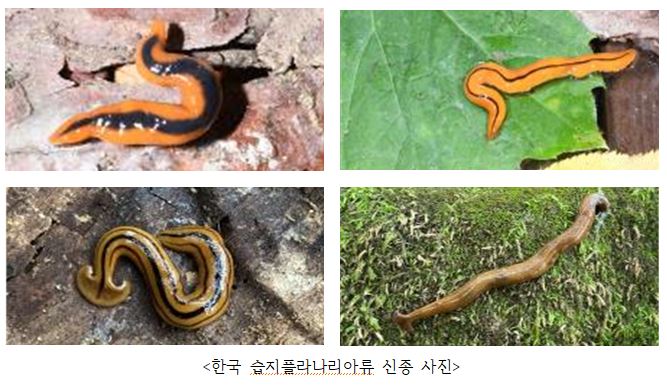 ▲ ⓒ국립낙동강생물자원관