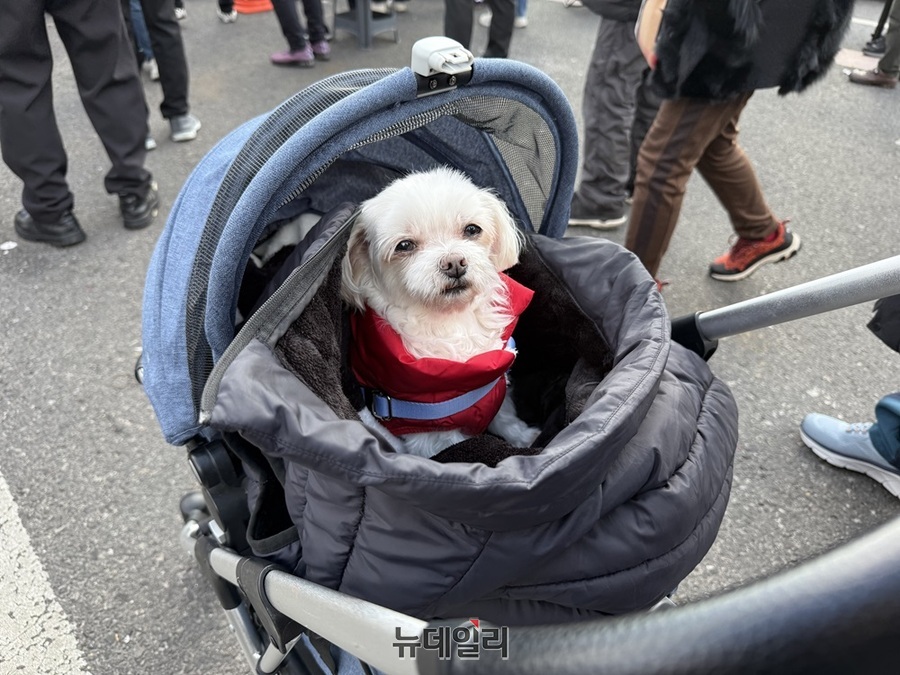 ▲ 7일 오후 서울 용산구 한남동 대통령 관저 앞에서 윤 대통령 지지자가 자신의 반려견과 함께 