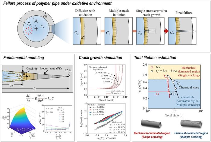 ▲ 연구논문 이미지.ⓒ고려대