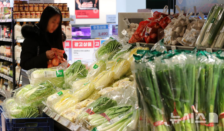 ▲ 서울 시내 한 대형마트에서 시민이 장을 보고 있다. ⓒ뉴시스
