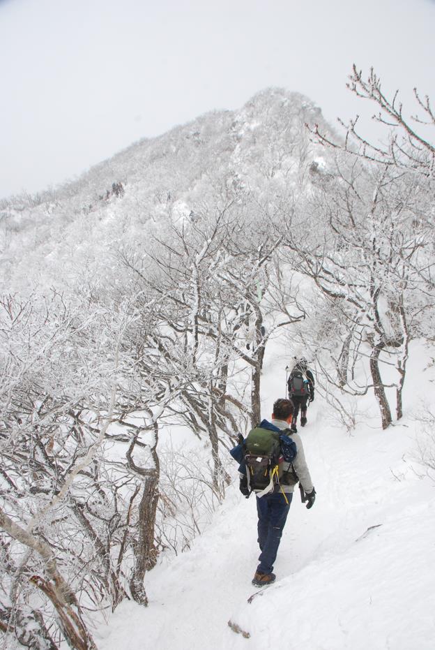 ▲ 남덕유산 정상으로 이어지는 설원 구간.ⓒ진경수 山 애호가