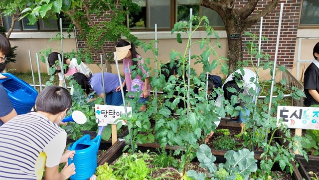 ▲ 경기도농업기술원의 '경기도 꿈자람 치유텃밭 운영사업' 모습. ⓒ경기도농업기술원 제공
