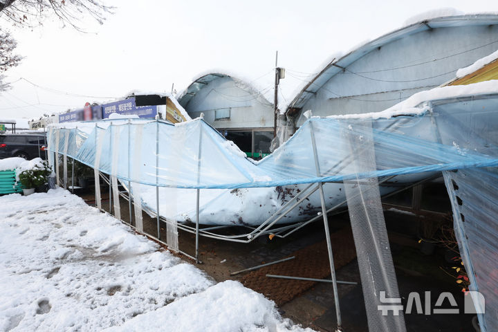 ▲ 수도권 일대에 이틀째 폭설이 이어진 지난해 11월28일 오전 인천 남동구 구월동 화훼단지의 한 비닐하우스가 눈의 무게를 이기지 못하고 주저앉아 있다. ⓒ뉴시스