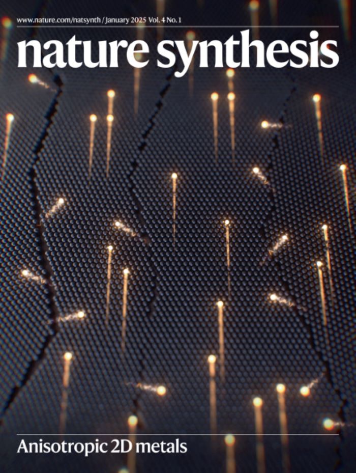 ▲ 네이처 신세시스 1월호 표지.ⓒ연세대