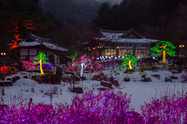 ▲ 고요한 설경, 화려한 야경 ‘가평 아침고요수목원’ ⓒ경기관광공사 제공