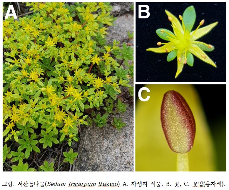 ▲ ⓒ국립낙동강생물자원관