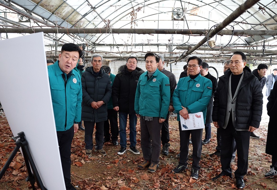 ▲ 김태흠 충남도지사가 28일 박상돈 천안시장과 함께 천안 폭설피해 농장을 방문, 관계공무원으로부터 피해 현황을 보고 받고 있다.ⓒ충남도