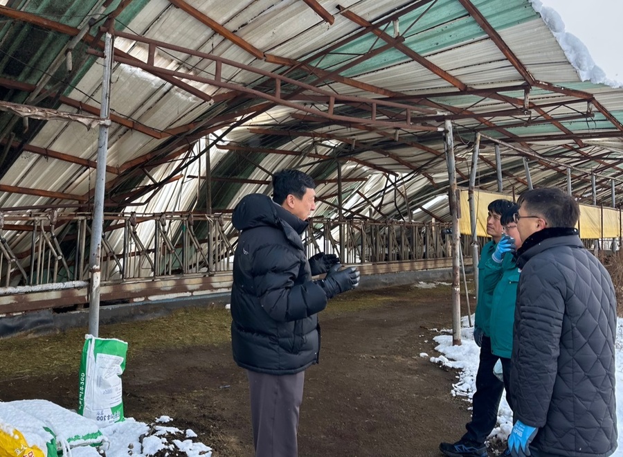 ▲ 당진 축사 붕괴 현장.ⓒ충남세종농협