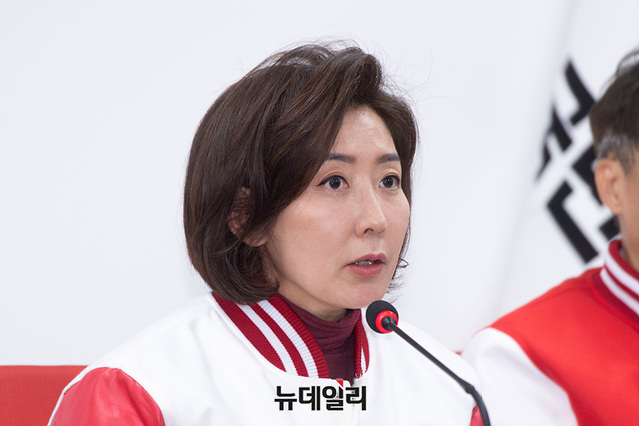 ▲ 나경원 국민의힘 의원.ⓒ뉴데일리DB