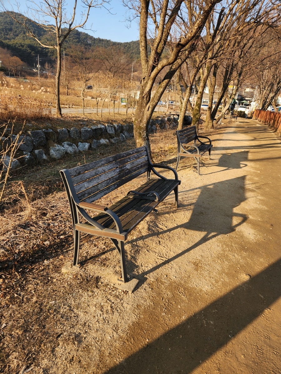 ▲ 청주 산당산성 저수지 주변에 설치된 벤치가 나무 색이 하얗게 바래 시민들이 앉기를 꺼려할 정도로 낡았다.ⓒ독자제공