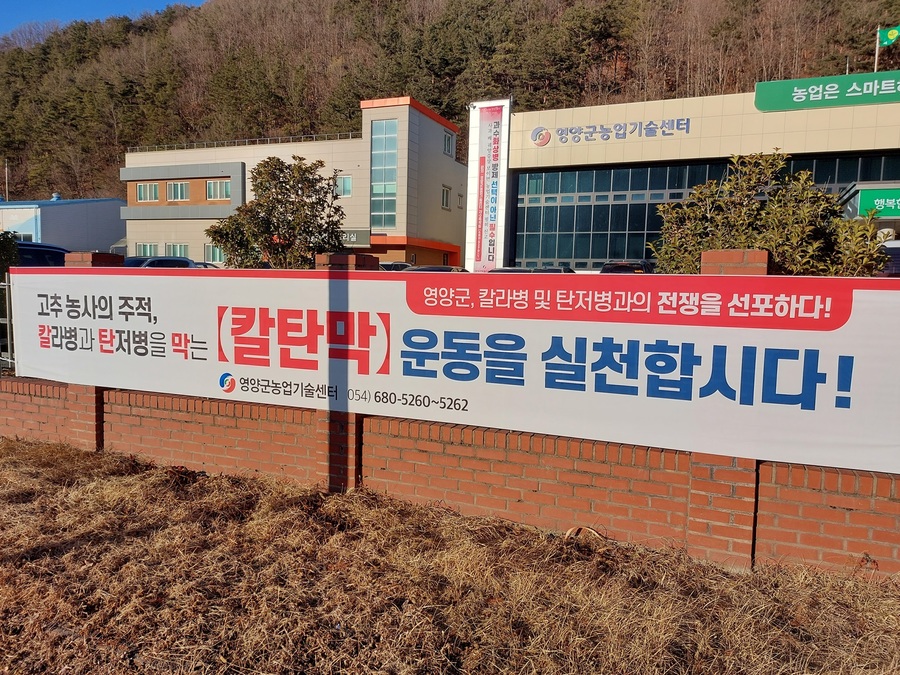 ▲ 영양군농업기술센터는 매년 고추 재배 농가에 손실을 주는 칼라병과 탄저병을 예방하여 피해를 막는 칼탄막 운동 실천을 홍보하고 있다.ⓒ영양군