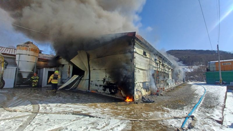 ▲ 6일 오전 10시 46분쯤 세종시 전동면 미곡리 한 양계장에서 불이 나 소방대원들이 진화작업을 벌이고 있다.ⓒ세종소방본부