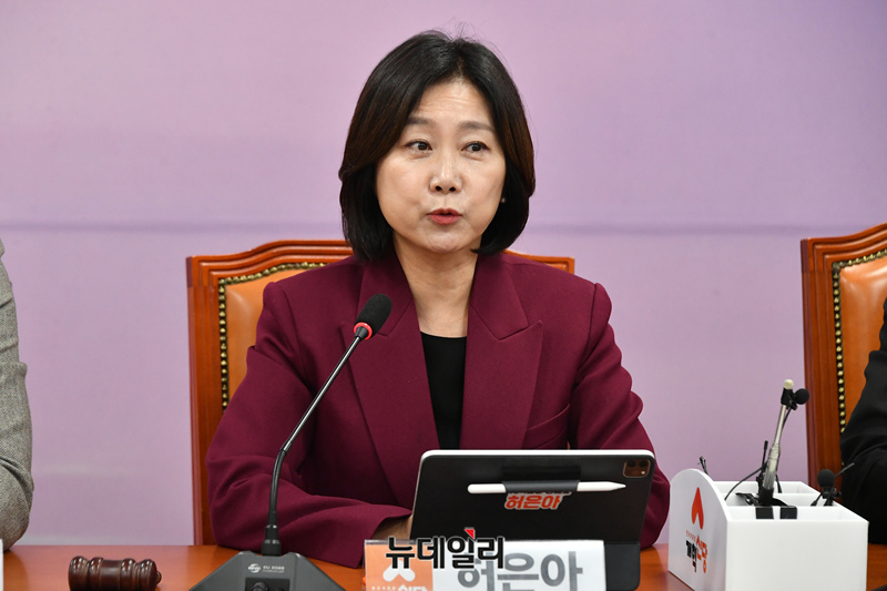 ▲ 허은아 전 개혁신당 대표. ⓒ뉴데일리DB