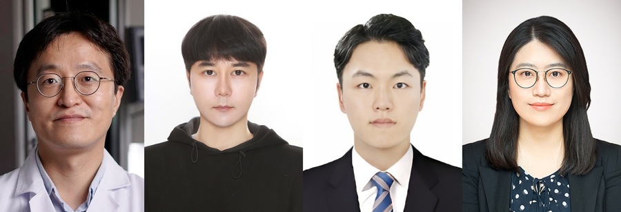 ▲ (왼쪽부터) DGIST 박치영 교수, 부석형 박사과정생, 조완수 석박사통합과정생, 경북대학교 차효정 교수.ⓒDGIST